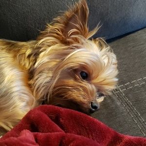 Meet your Posher, Vicki